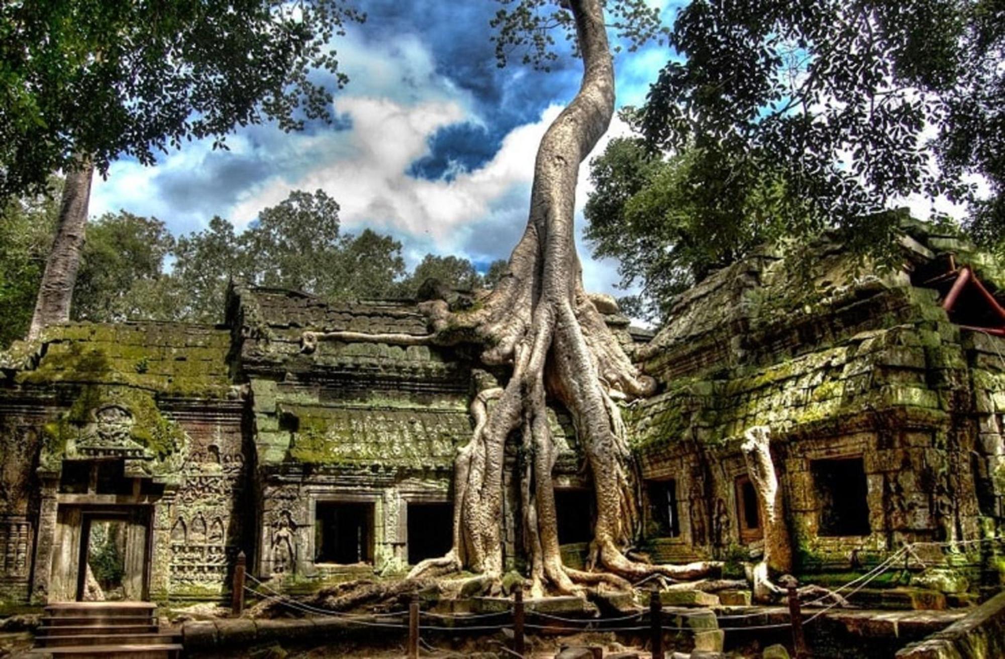 Memoire D' Angkor Boutique Hotel Siem Reap Exteriör bild